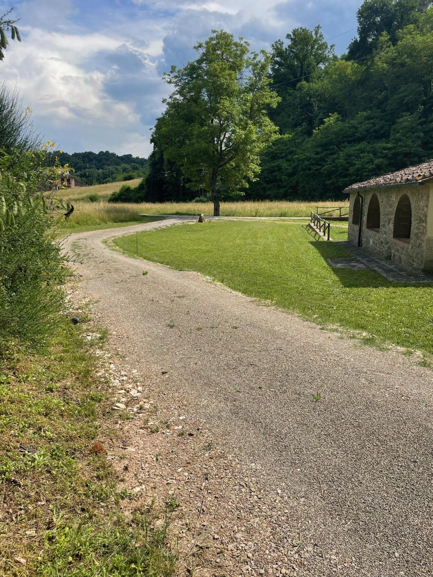 Gioconda casa vacanze Villa Montevarchi Bagian luar foto